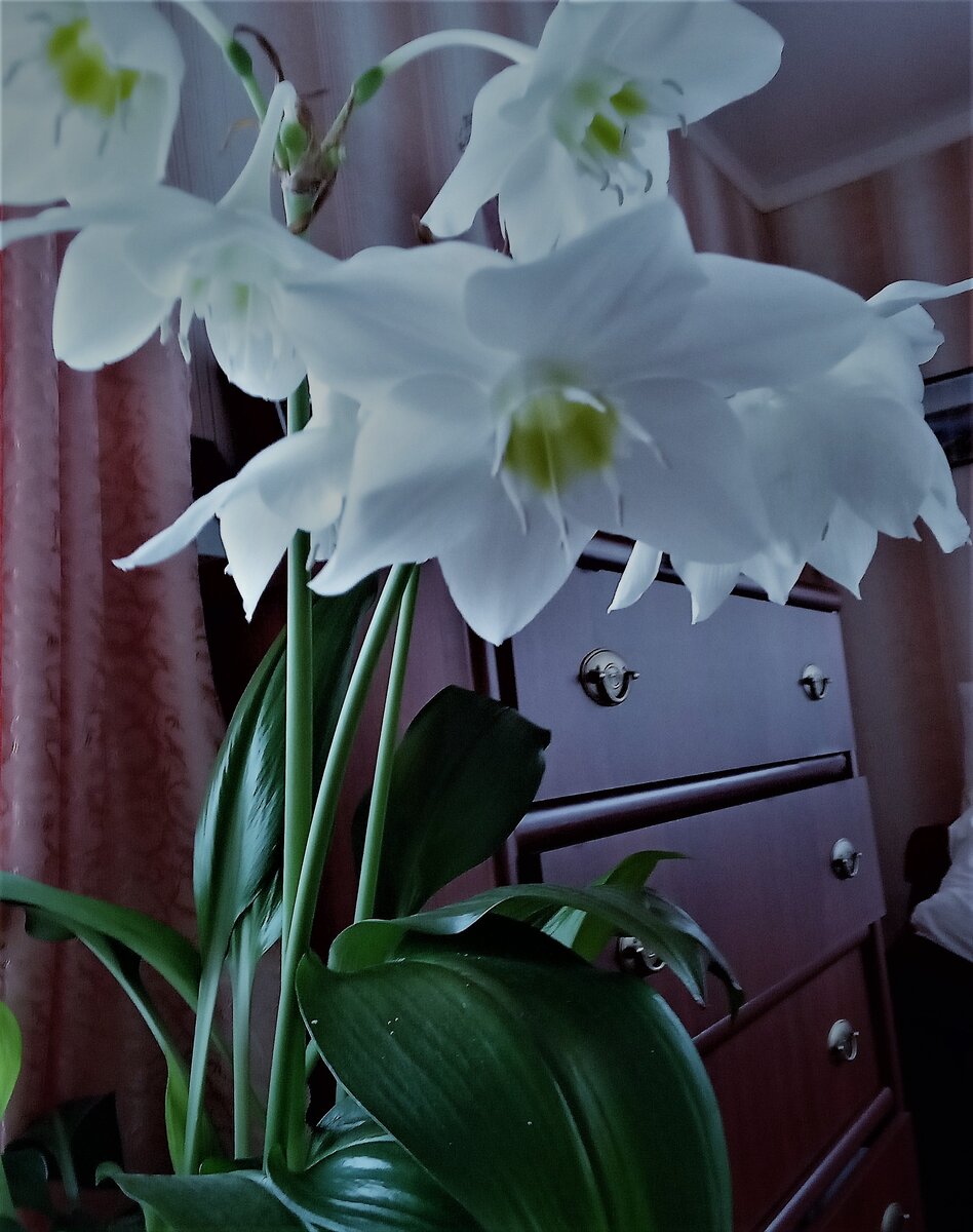 Фото автора канала.