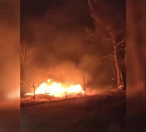 
Фото: скриншот видео из открытых источников