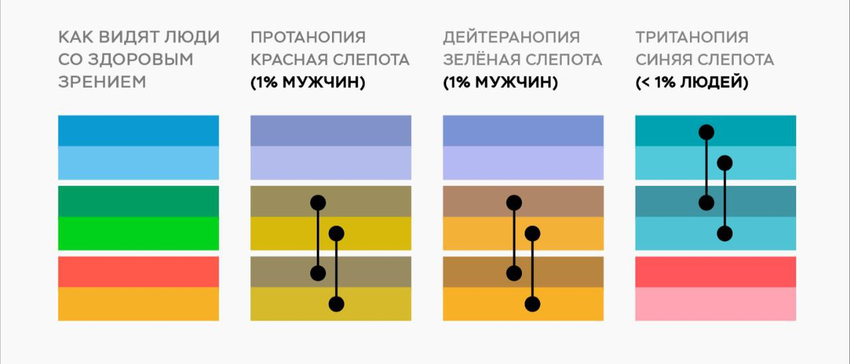 Как видят цвета люди со здоровым рением и дальтонизмом, в виде вертикальной палитры.