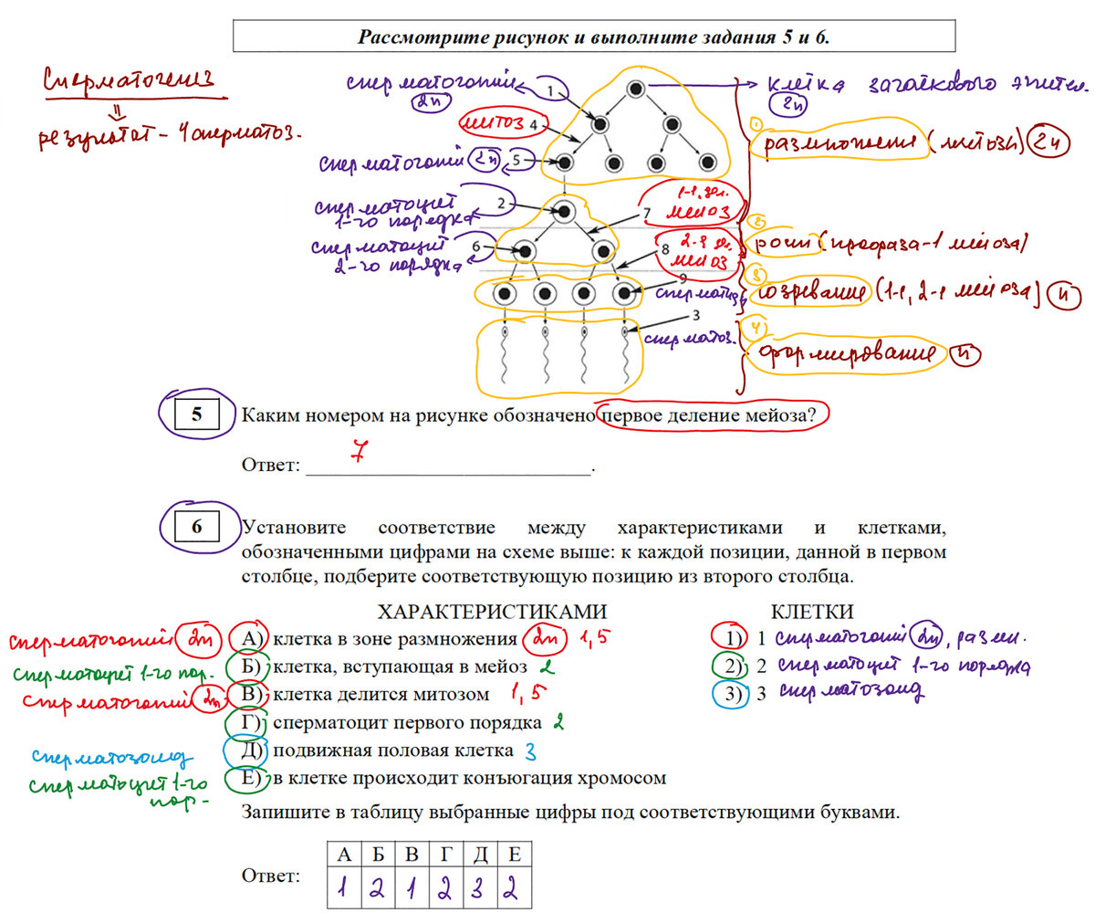 10 задание егэ русский язык. Правописание приставок. Егэ 2023 задание 10 практика. 10 задание егэ. Егэ 2023 задание 10 практика.