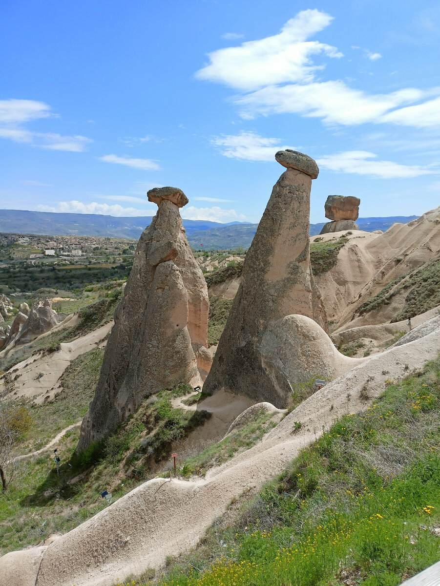 На этом всё, и мы поехали дальше.