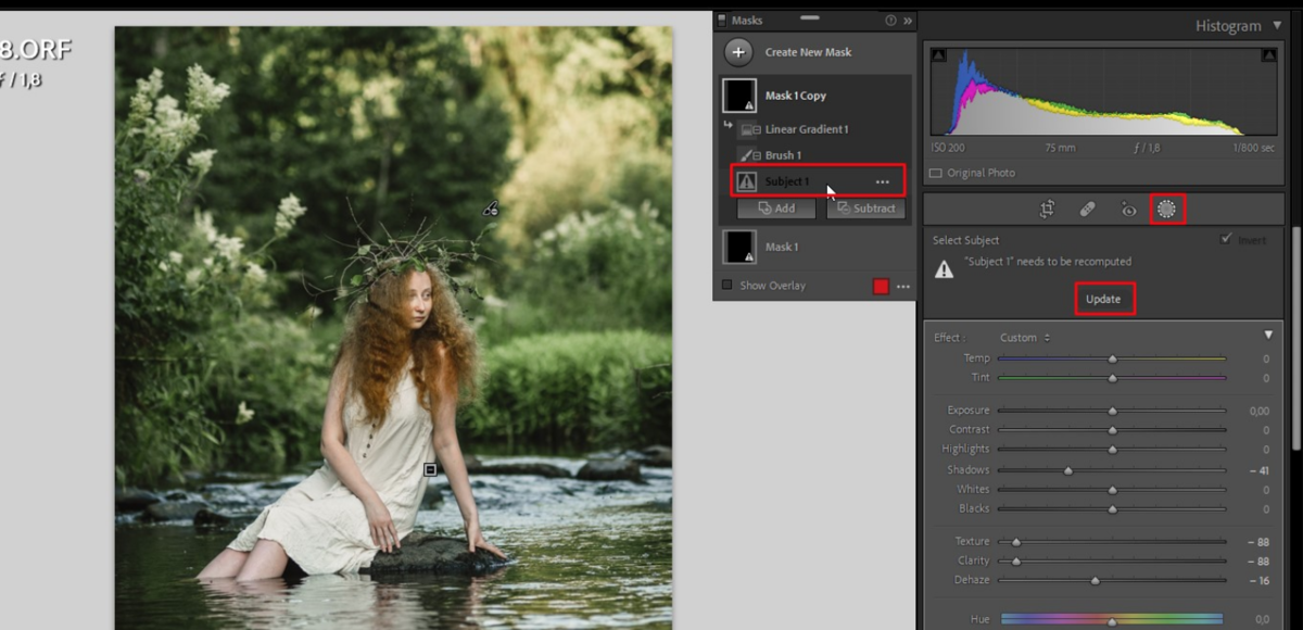 How To Blur Background in PaintShop Pro