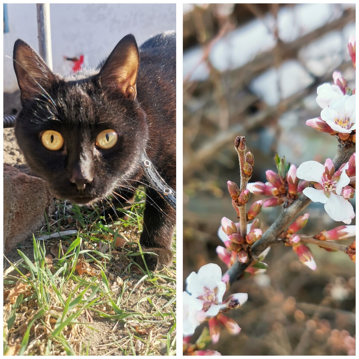 Уехала в деревню, где много солнца