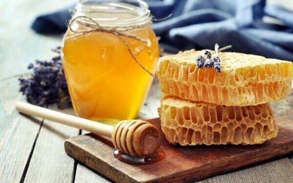    Фото: pixabay.com