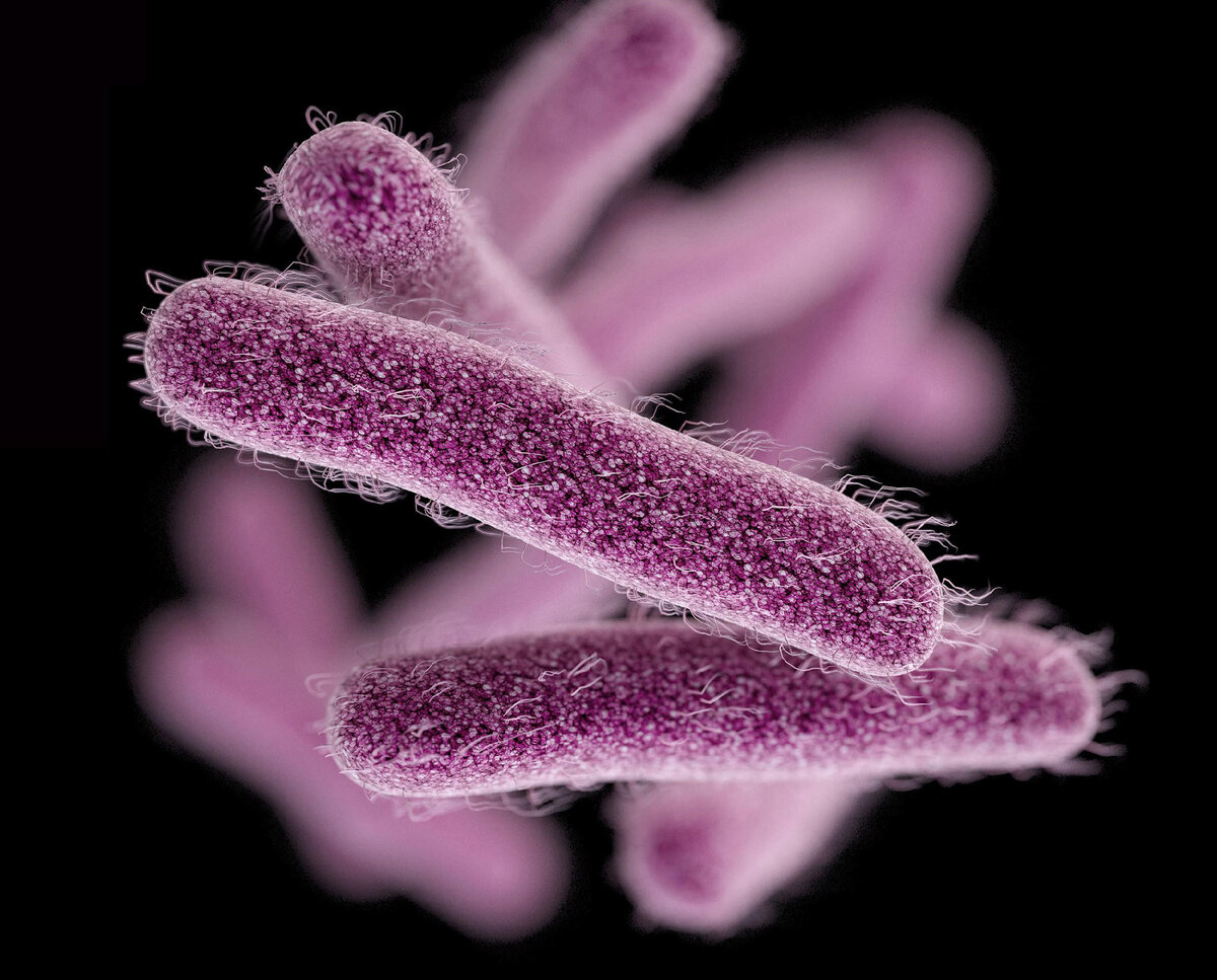 Источник: nbcnews.com