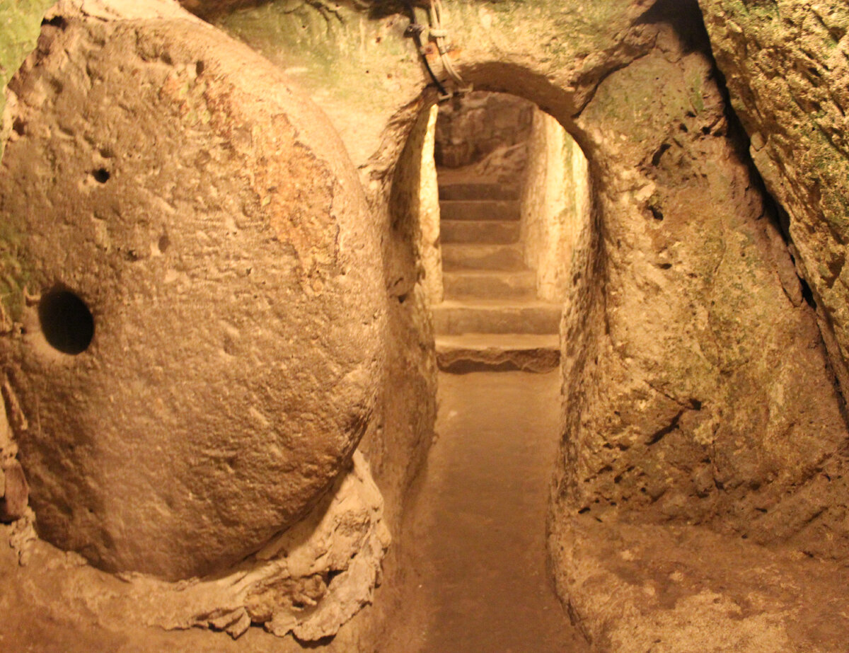 Фото из отрытых источников