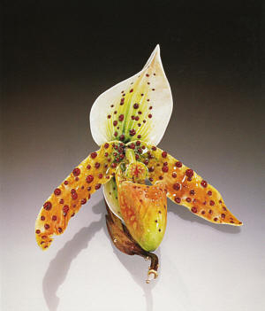   (), 2003 .   ,   24 , 18 , 14 , , 