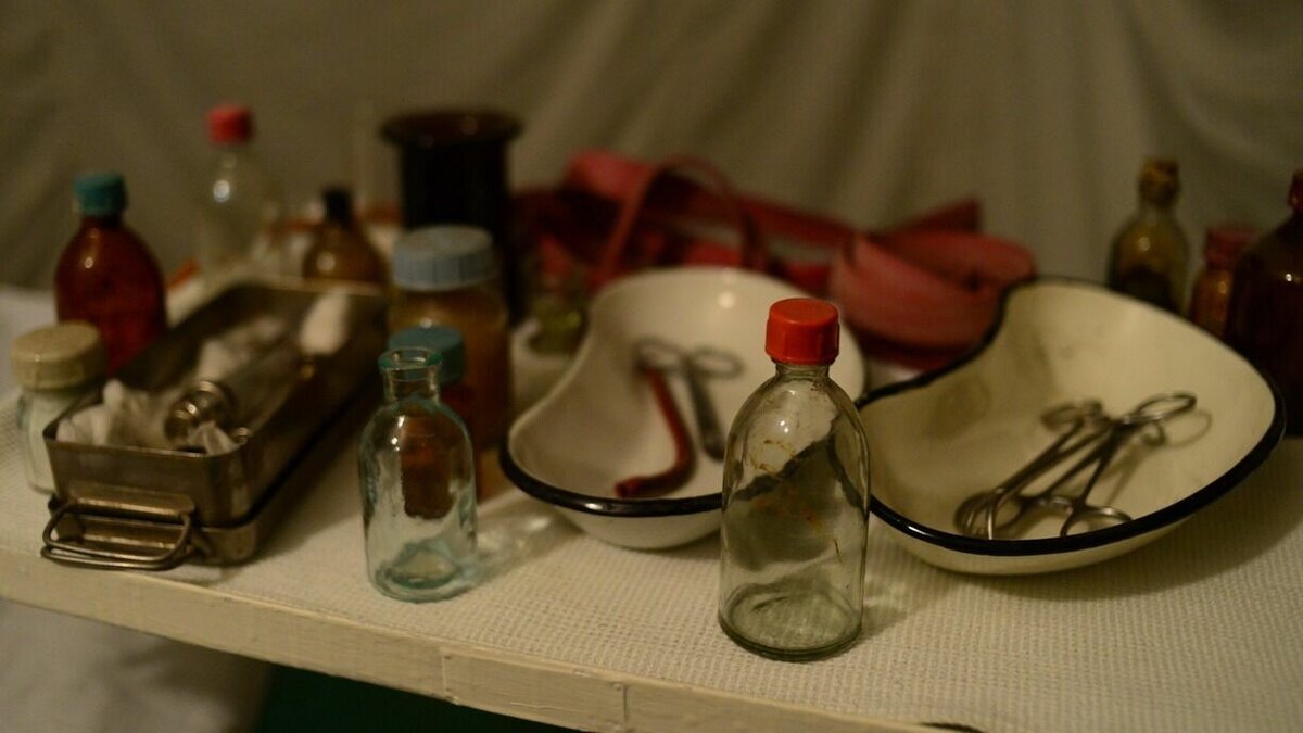     Кот, которого спасли в Большом Камне после жутких издевательств, находится в «стабильно тяжёлом» состоянии.