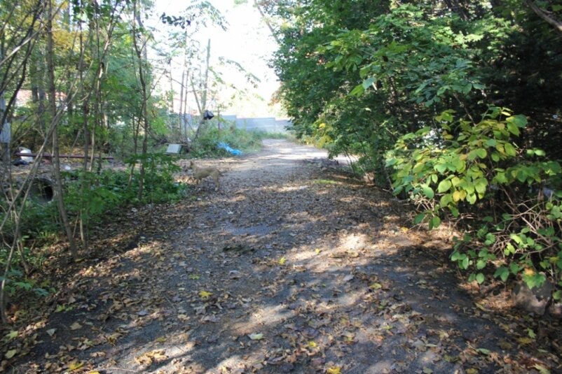 Подъездная дорога. Фото: РИА PrimaMedia