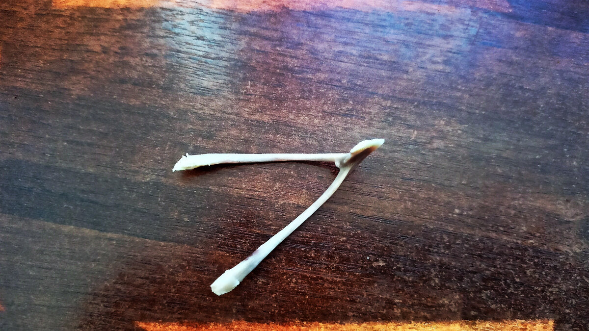 Напоминает букву английского алфавита V, которая обозначает победу, Victory!