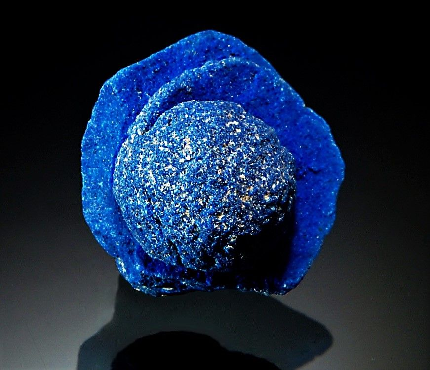 Фото из открытых источников.