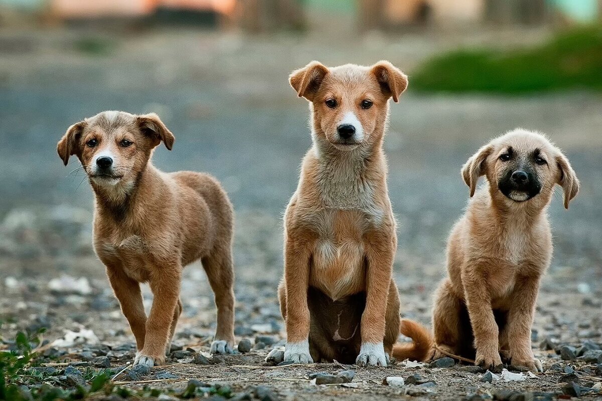 Найдено на просторах Интернета