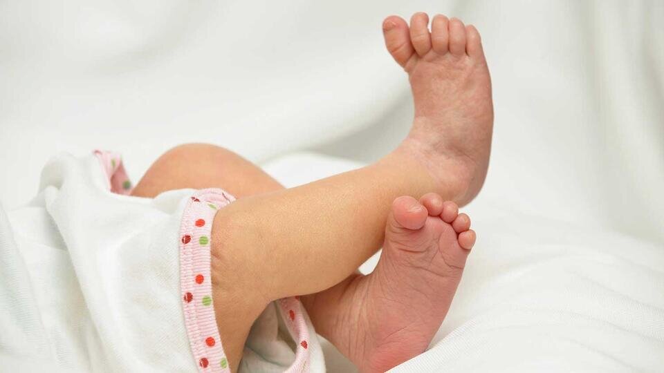 Фото: © Global Look Press/Elmar Herz/imageBROKER.com