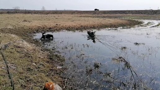 Грязная сука - смотреть русское порно видео бесплатно