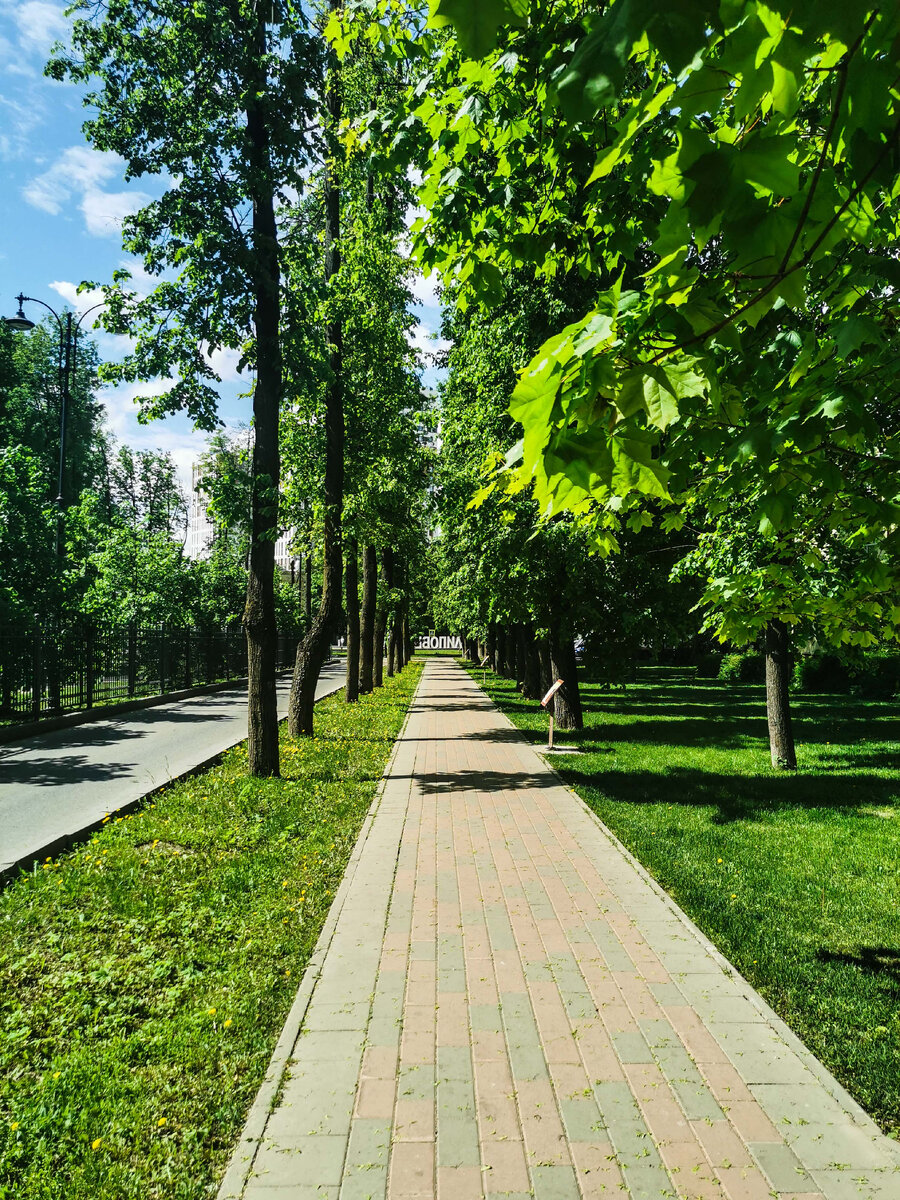 Пешеходная дорожка вдоль аллеи и видны информационные стенды, на каждом из которых приведена информация о каком-то значимом для Коммунарки людей.