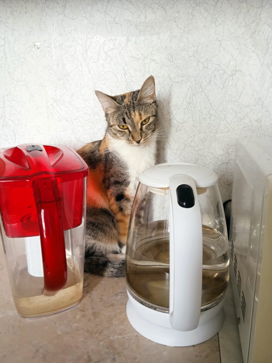 Чем бы запить лекарство?