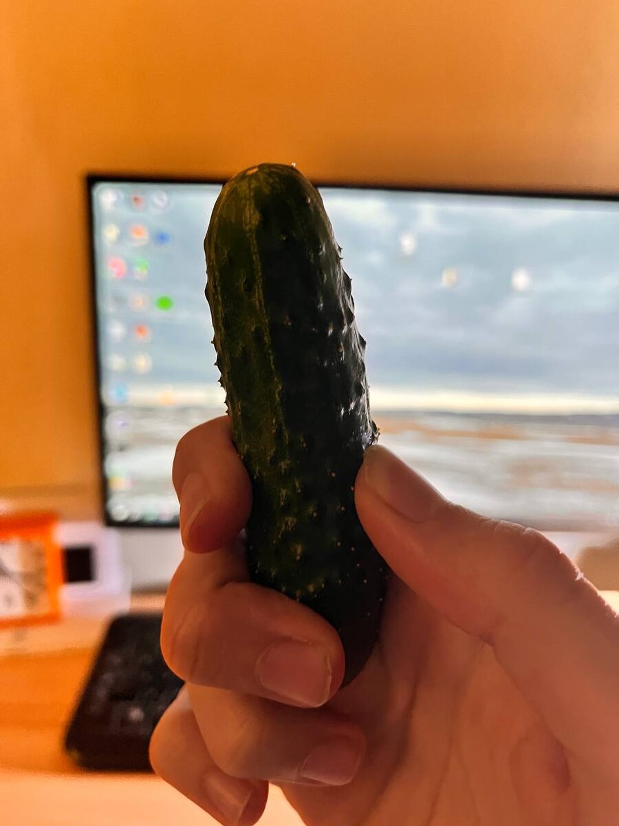 Огурчик с дачного домика. Намного вкуснее покупного