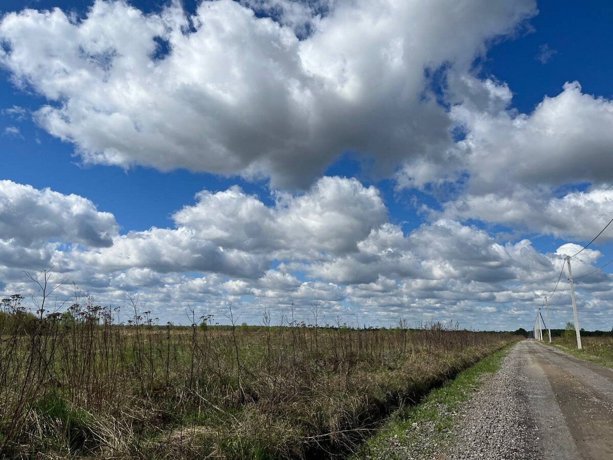 Дорога к СНТ оказалась живописной.