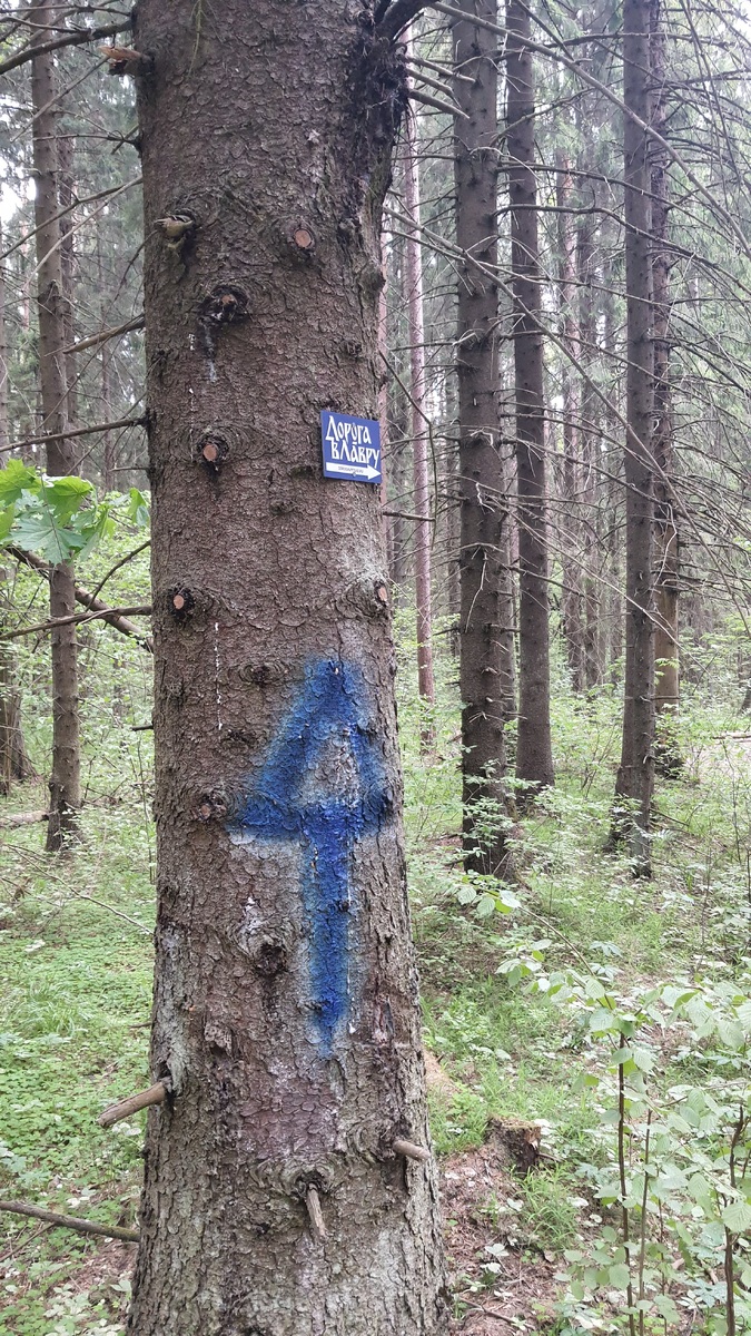 Указатели на дороге в Лавру