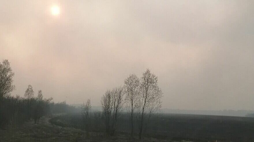     Лесной пожар действует около населённого пункта Балахлей в Аромашевском районе. Местные леса в дыму, возгорание тушат пожарные из Республики Коми.
