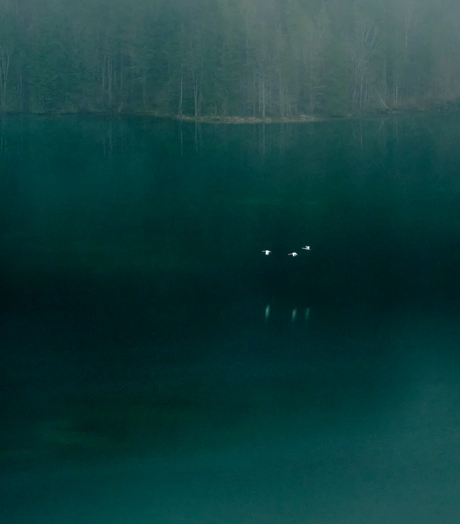    Clemens Weiskopf, viltroxstore.com