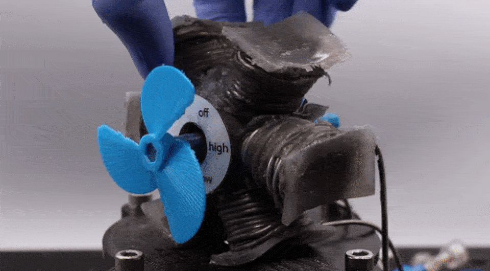   Noah D. Kohls et al. / Soft Robotics, 2023