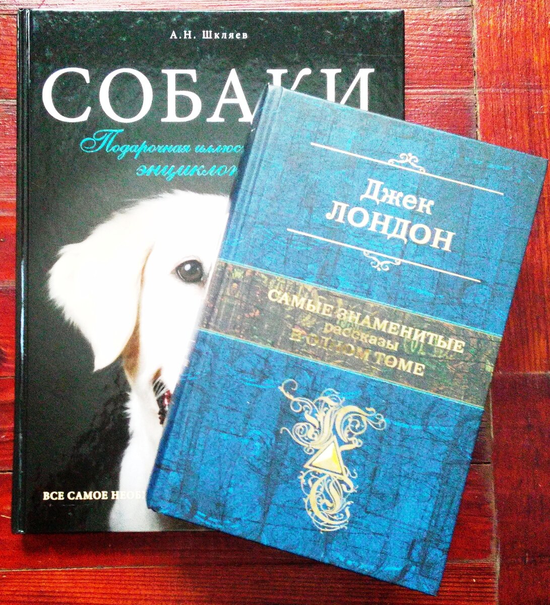 Подборка Книг про Собак. Энциклопедии и Художественные книги. | Gorilla  Geek - Aleks Klion | Дзен