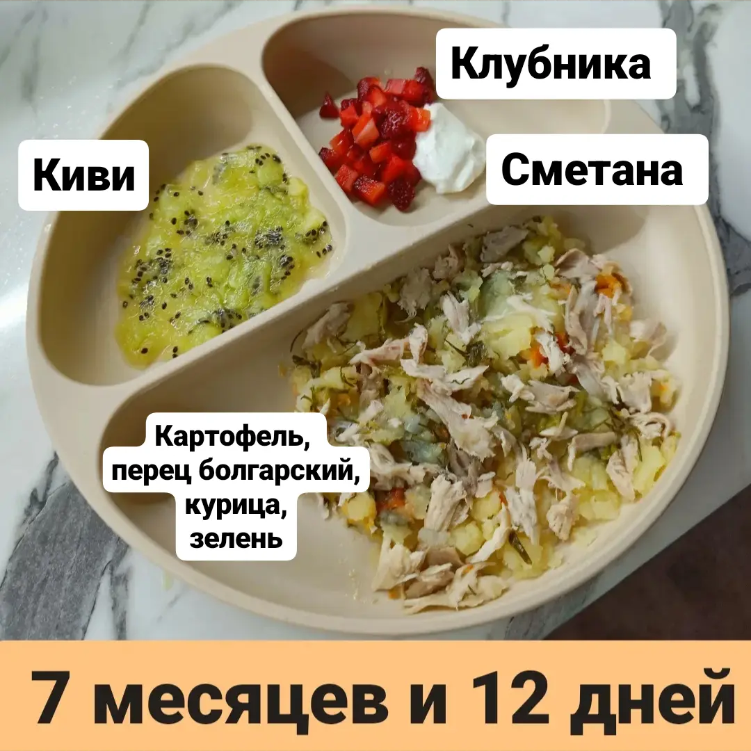 Пример тарелки в 7 месяцев 