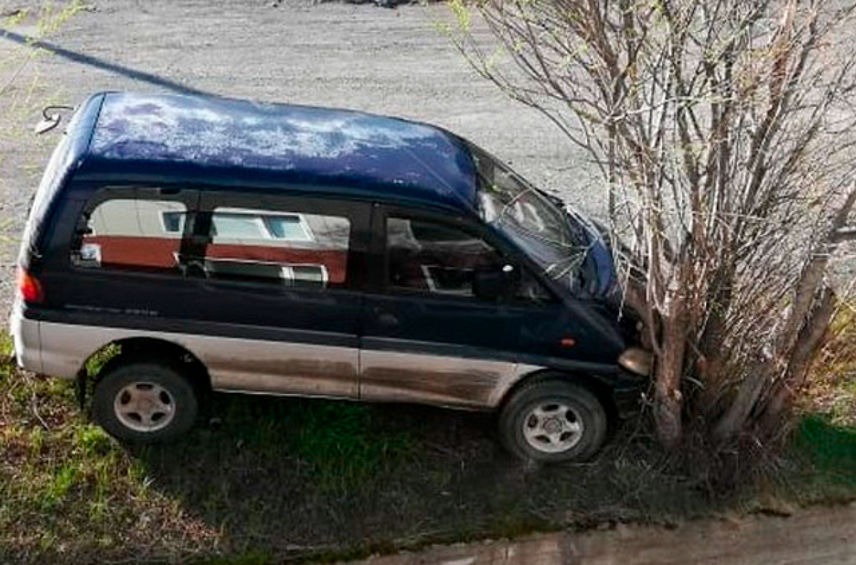    В Петропавловске микроавтобус без водителя врезался в дерево