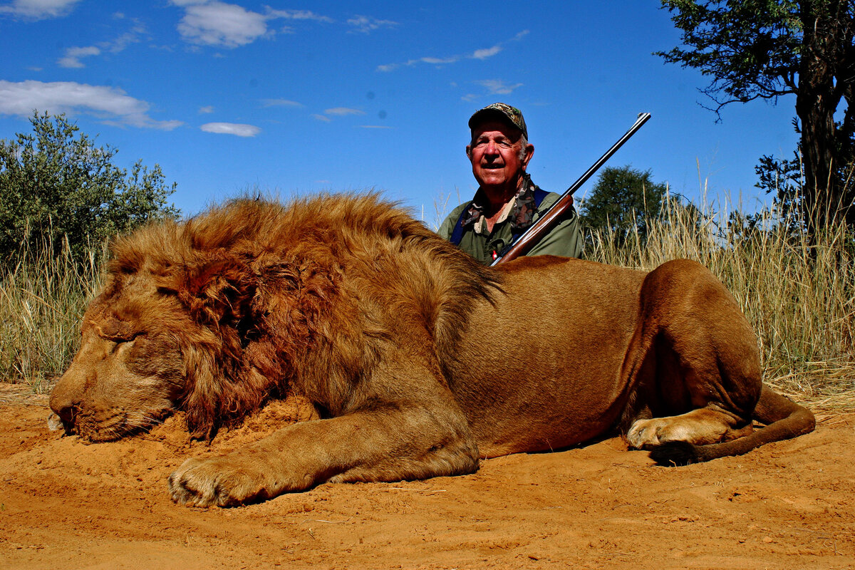 Какого зверя охотники. Масаи охотятся на Львов. Охота на диких животных.