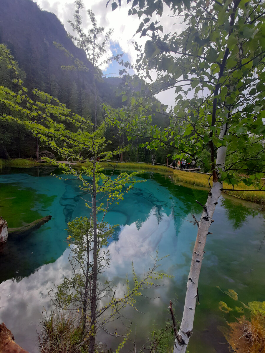 Алтай. Гейзерное озеро. Где находится. Фото и видео. | JonyTravel | Дзен