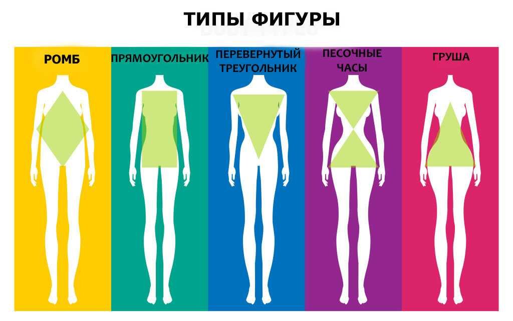 Типы форм тела. Типы фигур. Типы телосложения женских фигур. Типажи женских фигур. Типы форм тела.