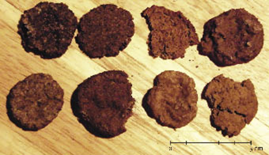 Образцы желудевого печенья (Источник изображения: http://iansa.eu/papers/IANSA-2011-02-salkova.html) 