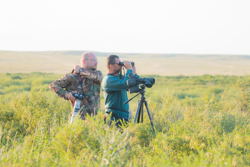 Поляк и израильтянин за работой