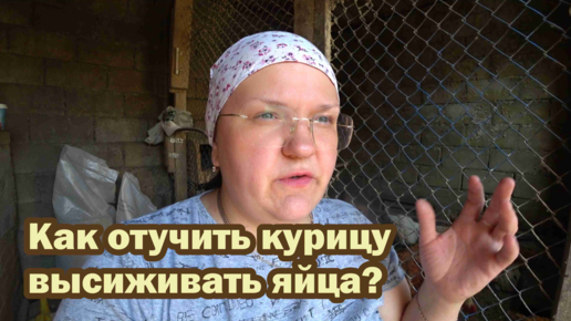 Отучаем курицу высиживать яйца