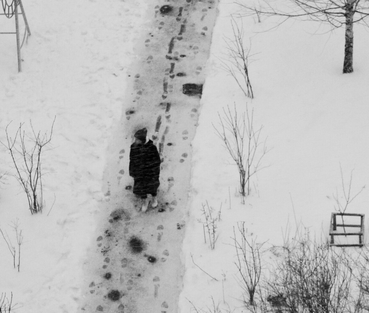 смотреть в окошко на мокрый метельный день. 