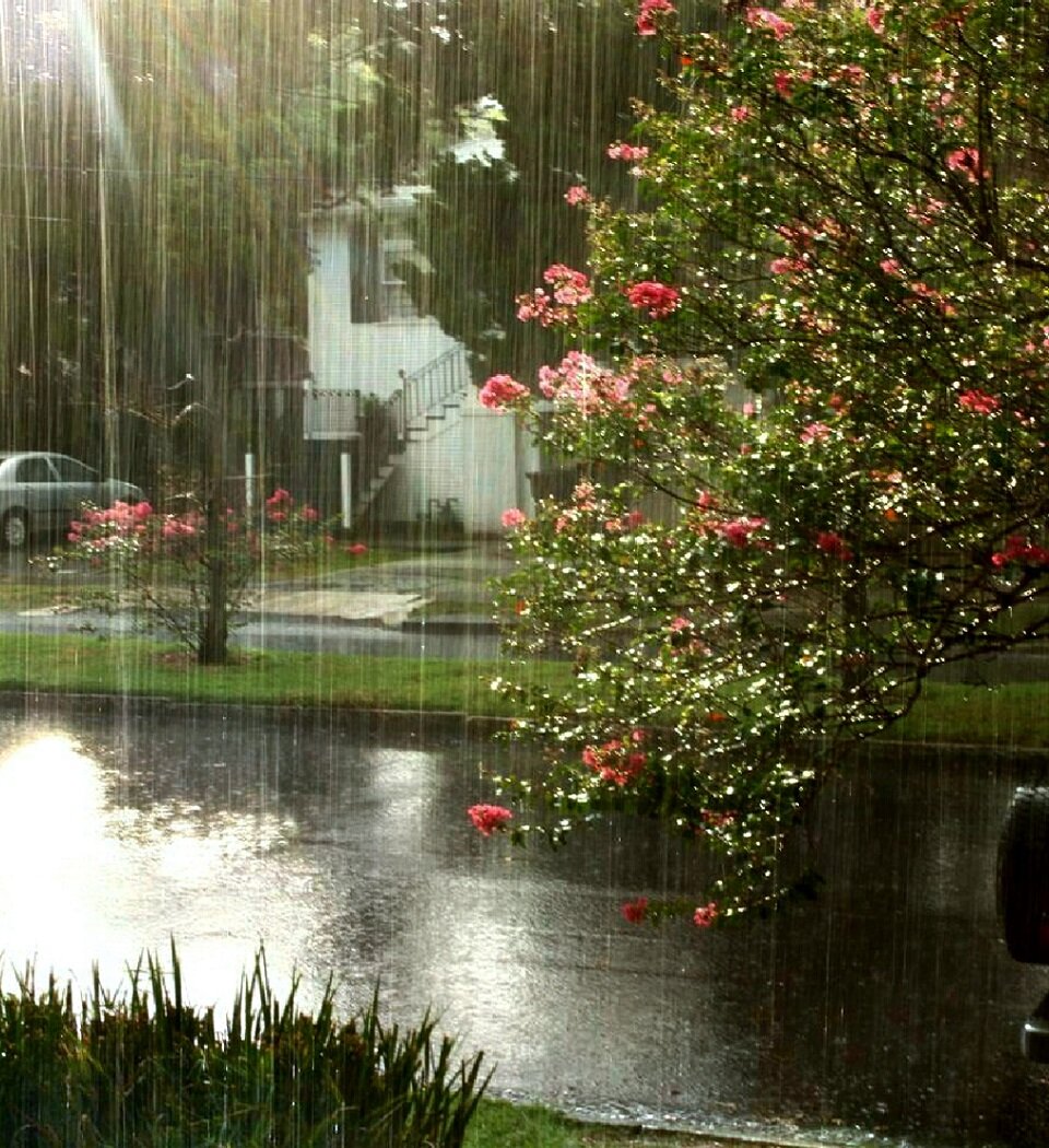 картинки с дождем красивые весенние