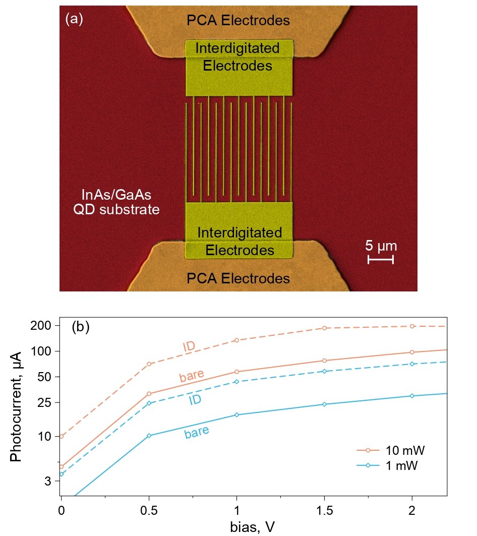 Устройство фотопроводящего терагерцового излучателя: по краям изображены контакты (основные электроды) фотопроводящей антенны, в центре — встречно-штыревые электроды; фон — фотопроводящая подложка на основе квантово-точечной гетероструктуры InAs/GaAs. Источник: Gorodetsky et al. / IEEE Journal of Selected Topics in Quantum Electronics, 2023.