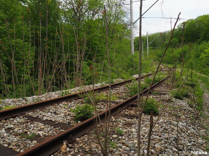 Ж/Д линия "Бештау - Железноводск" во времена запустения. Фото из сети интернет