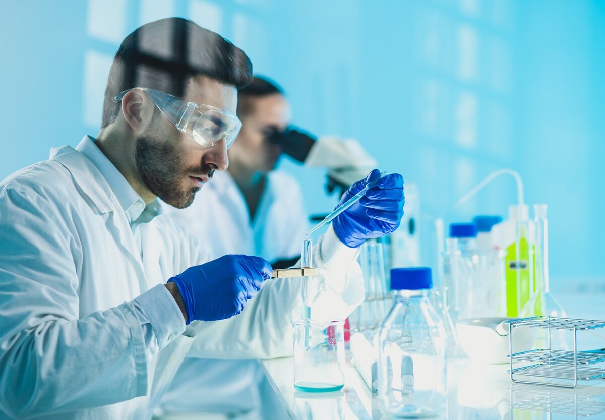 Автор: Власова Александра 