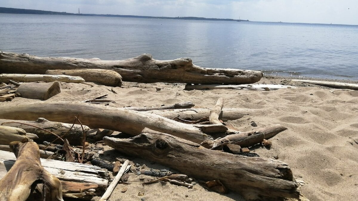 обское водохранилище пляж