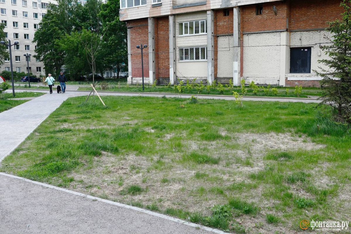 Спорим больше не покинешь этот сквер. Коммунисты против строительства храма. Спорим больше не покинешь этот сквер. Мы за сквер. Лев треугольный сквер.
