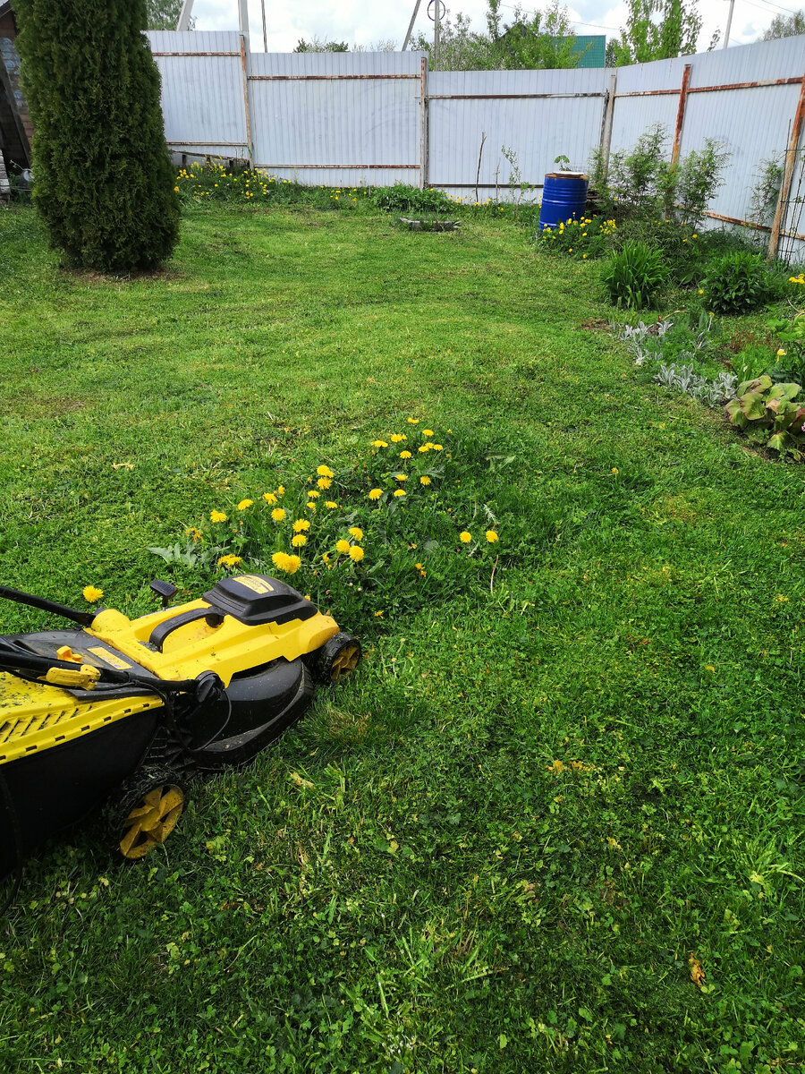 И жалко и НАДО)) 