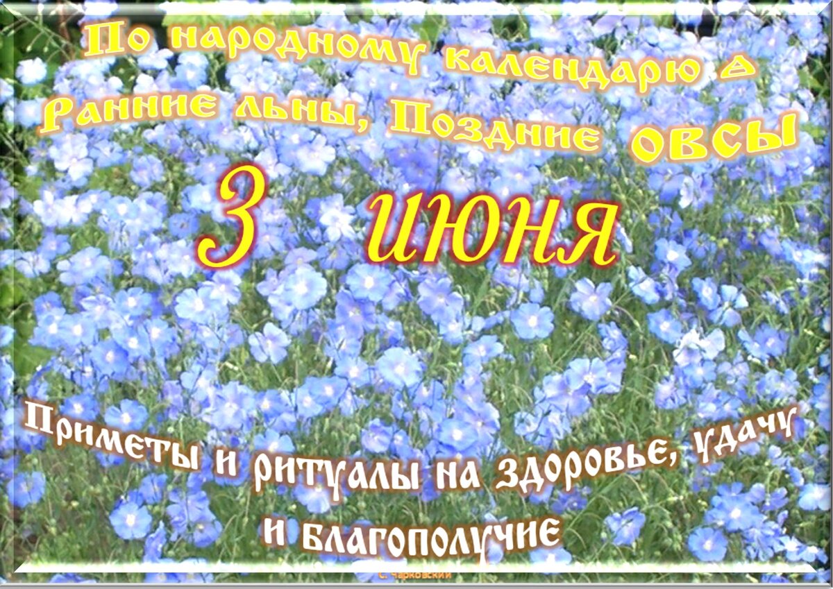 Встречаем новый день