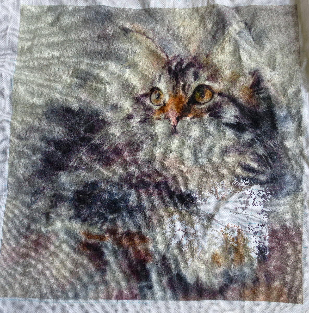 Всё-таки вышитого кота фотографировать проше, чем живого