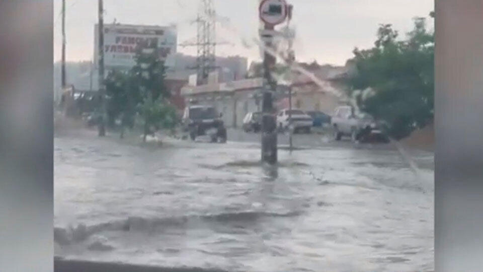 Фото: © Скриншот видео