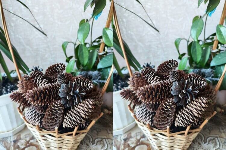    Фото справа ничуть не хуже того, что слева