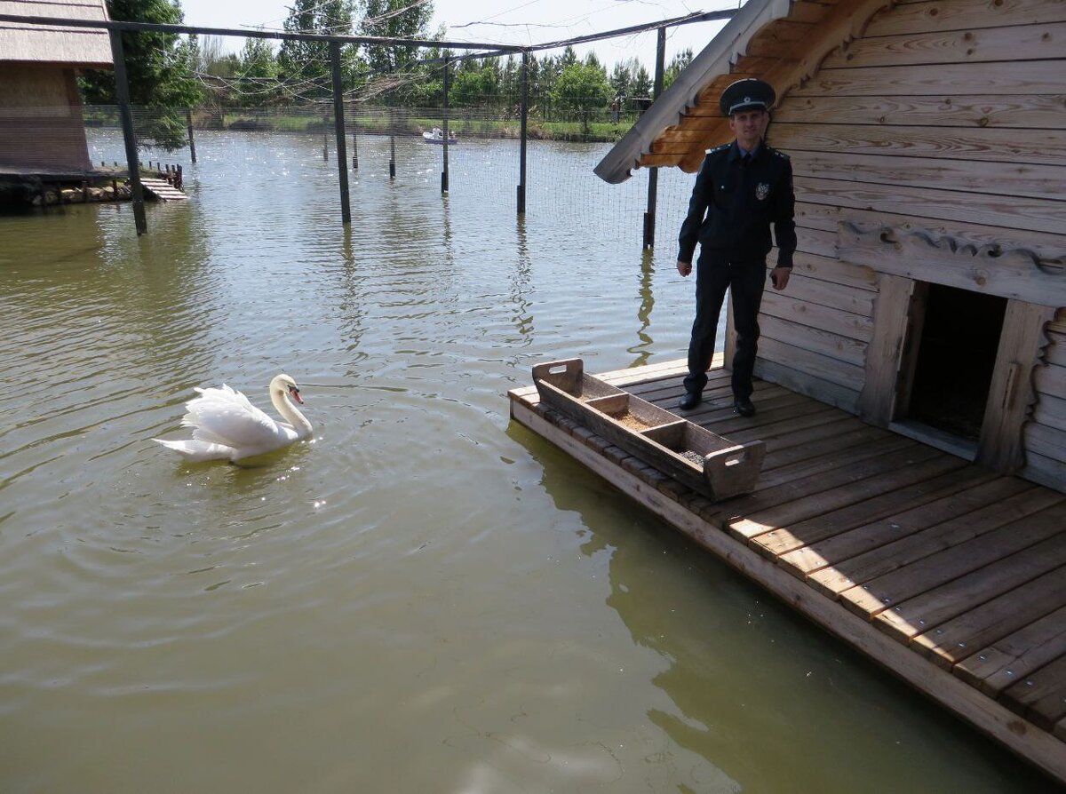    В Шарлыкском районе парк «Луна» получил лицензию на содержание животных Андрей Севостьянов