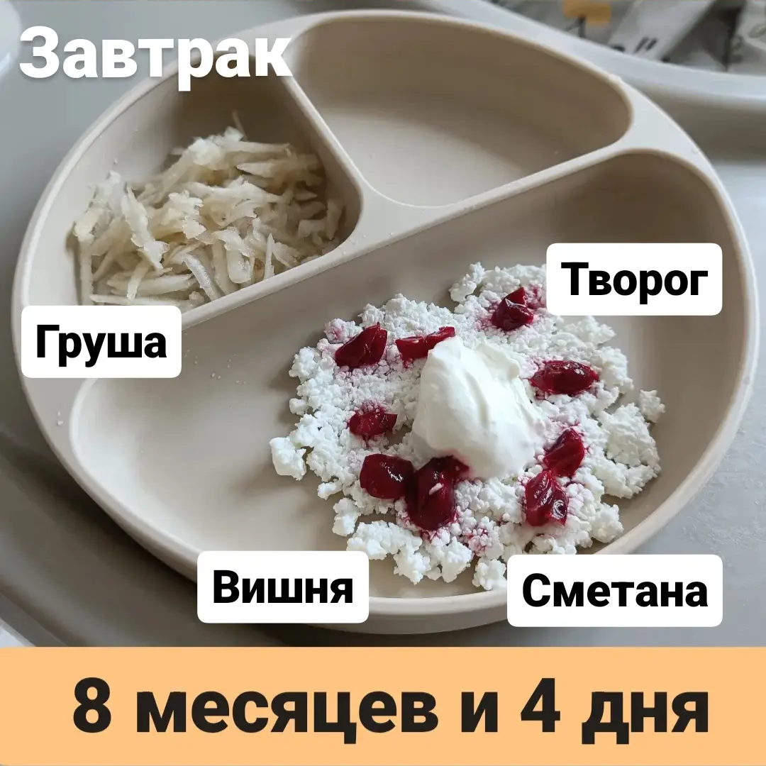 Пример тарелки в 8 месяцев 