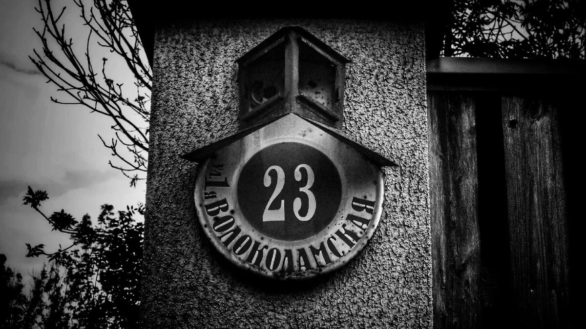 Фото: Александр Крючков